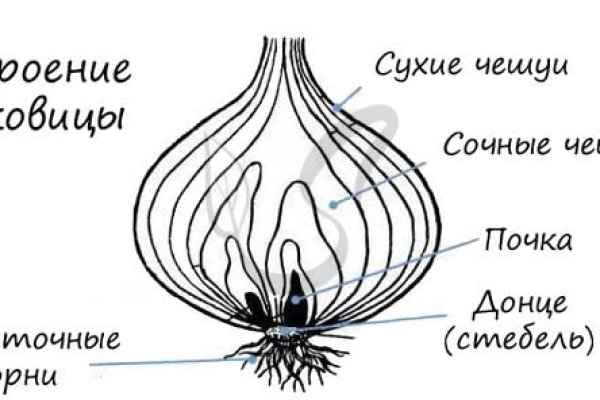 Ссылка кракен даркнет маркет